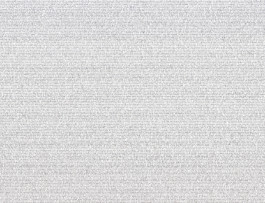 Philipp_Goldbach_Micrographs_05_Darwin_Voyage_of_the-Beagle_Detail_NEU