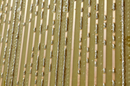 Philipp_Goldbach_ROM_01_2000px