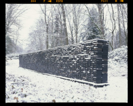 Philipp_Goldbach_AMA_02_Image_Cycle_29_04_2000px