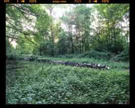 Philipp_Goldbach_AMA_05_Image_Cycle_40_01_2000px